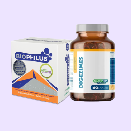 Probióticos y Enzimas Digestivas